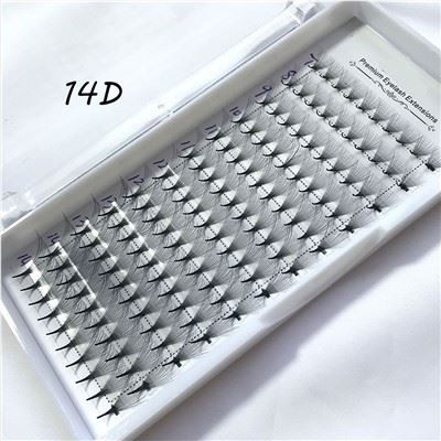 מעריצים של מגה כרך מראש