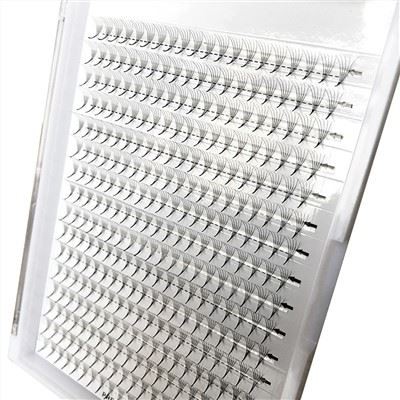 מאווררי 5D מראש