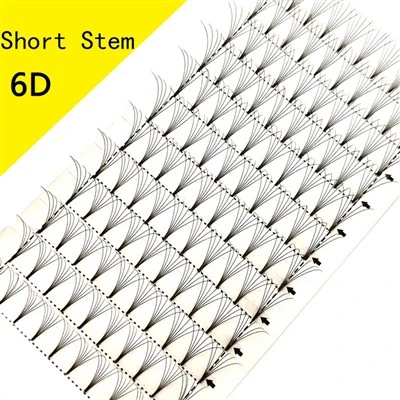 6D הרחבות ריסים