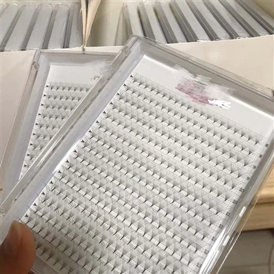 מעריצים צרים מראש
